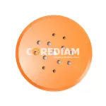 250mm Diamond Grinding disc For Dry And Wet Grinding Concrete